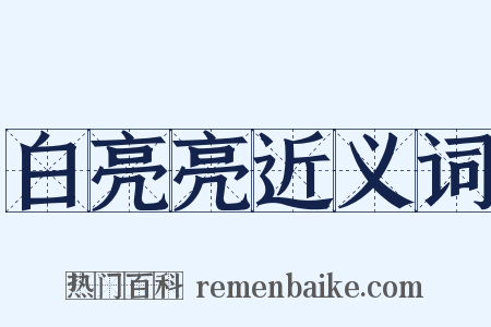 白亮亮近义词是什么意思的图片